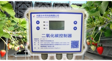 中國北方CO?新技術，將促進農作物光合作用和光合產物的生成