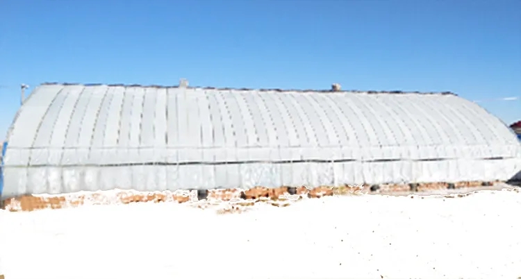 125656.jpg 125656.jpg