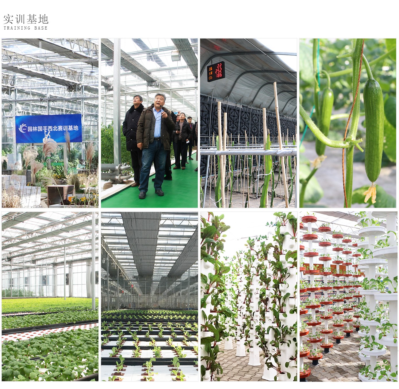 人才培養1920實驗2_13.jpg 人才培養1920實驗2_13.jpg