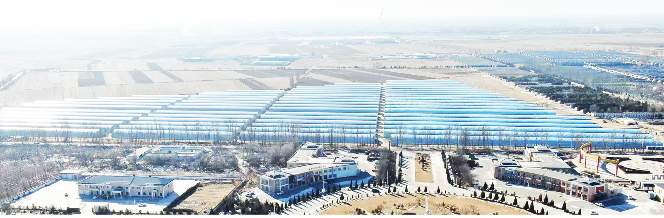 準(zhǔn)格爾旗現(xiàn)代設(shè)施農(nóng)業(yè)科技轉(zhuǎn)化示范園_05.jpg
