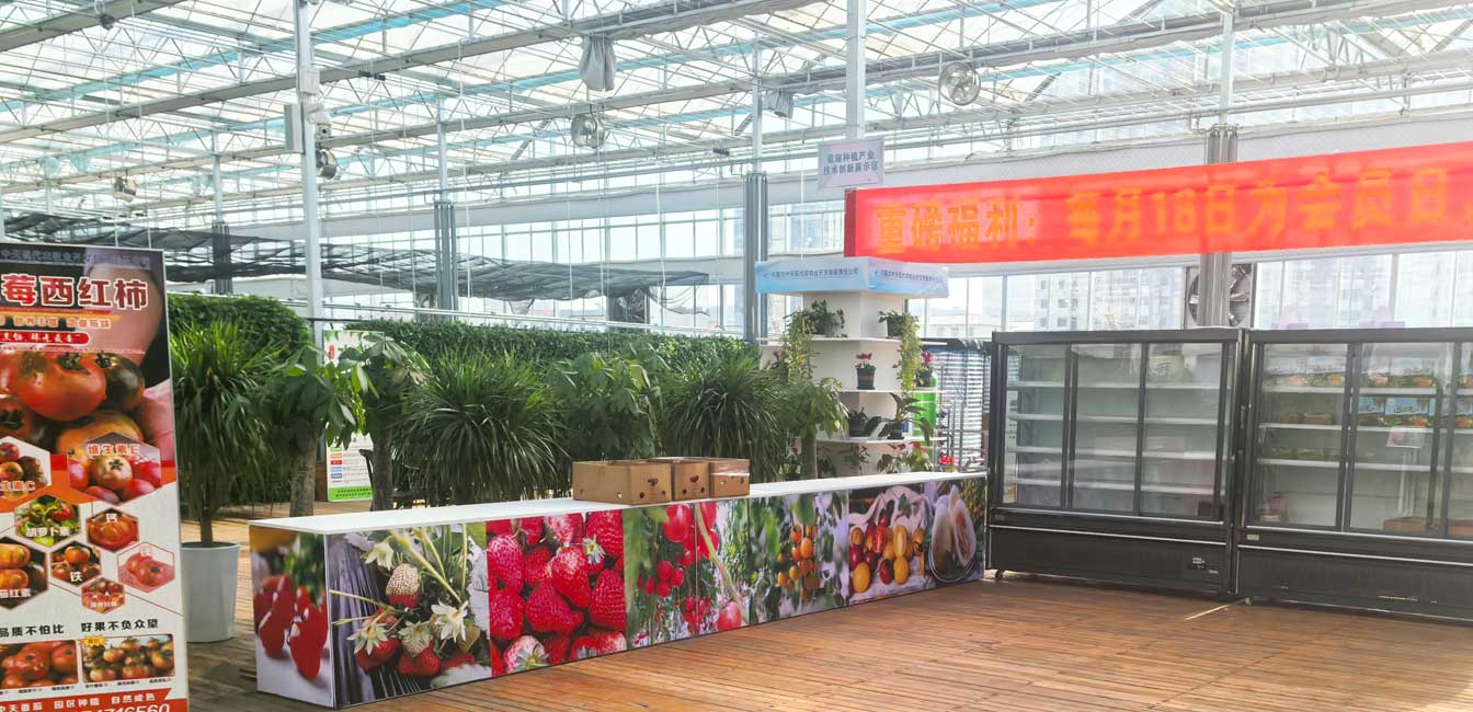 自治區(qū)綠色優(yōu)質(zhì)果蔬展銷中心psd-恢復的_12.jpg